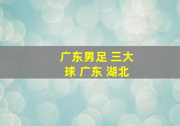 广东男足 三大球 广东 湖北